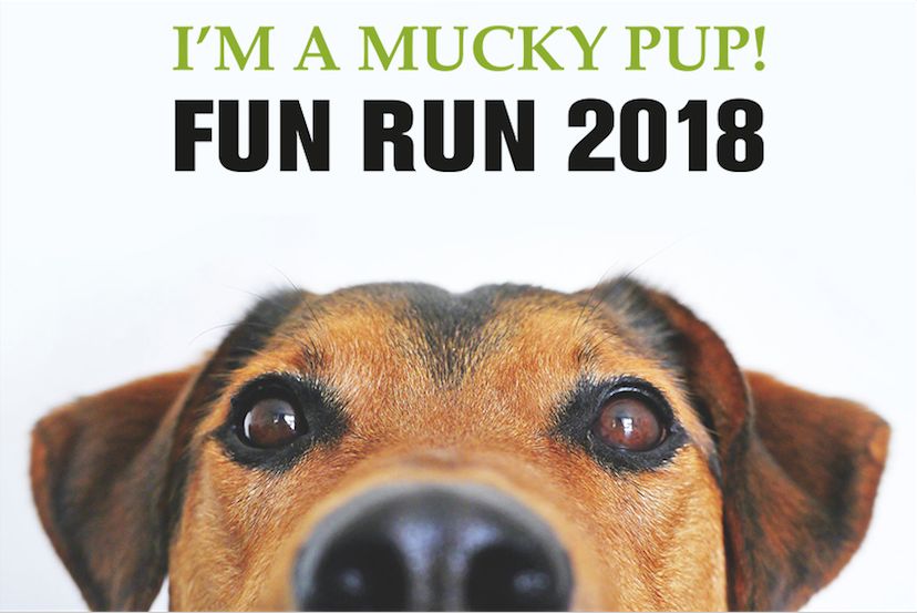 Mucky Pup Fun Run 2018! Royal Veterinary College, RVC